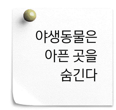 김정호 수의사는 질병을 숨기는 야생동물 특성상 조기 발견을 위해선 정기적인 검진이 필요하다고 강조했다. 동물원에 동물병원이 함께 있어야 하는 이유다.