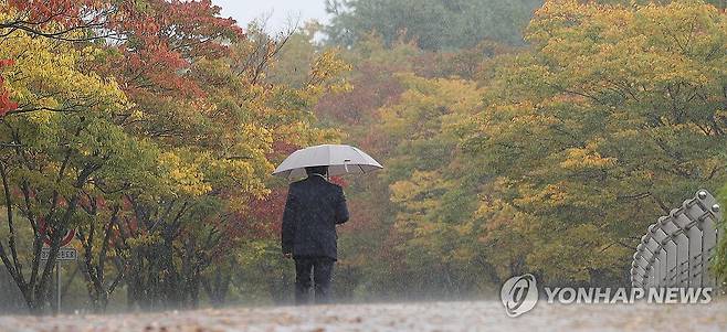 가을비 전국적으로 비가 내린 지난 18일 오후 대구 수성구 대구스타디움 인근 산책로에서 한 시민이 우산을 쓰고 단풍으로 물들어가는 가로수 아래로 산책을 즐기고 있다. [연합뉴스 자료사진. 재판매 및 DB 금지]