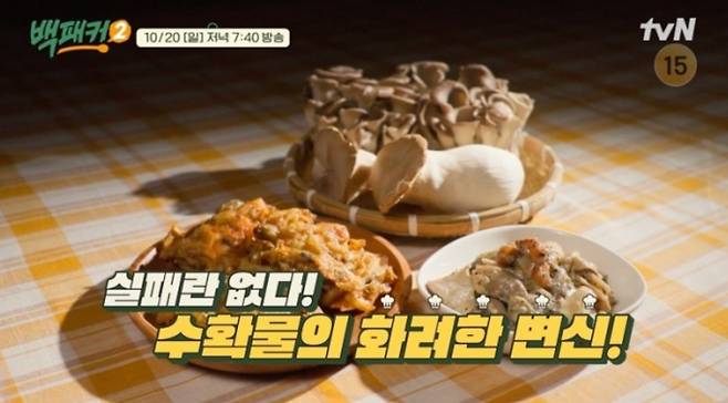 tvN ‘백패커2’