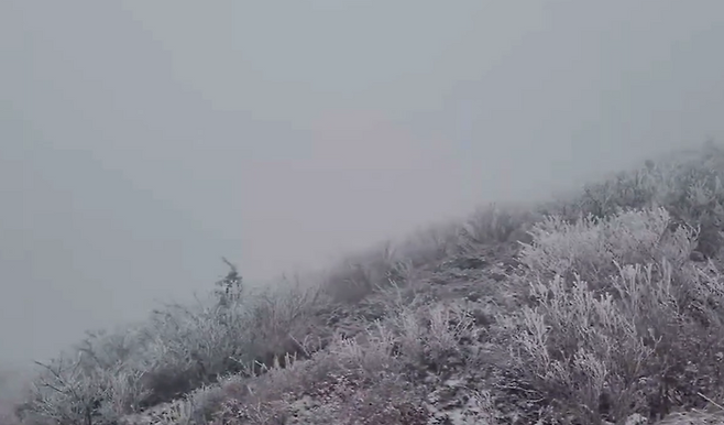 설악산국립공원사무소 SNS 영상 캡처.설악산국립공원사무소