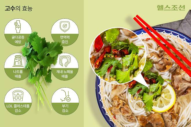 고수는 특유의 향 때문에 호불호가 강한 음식이지만, 건강에는 좋은 효능이 있다./그래픽=김민선