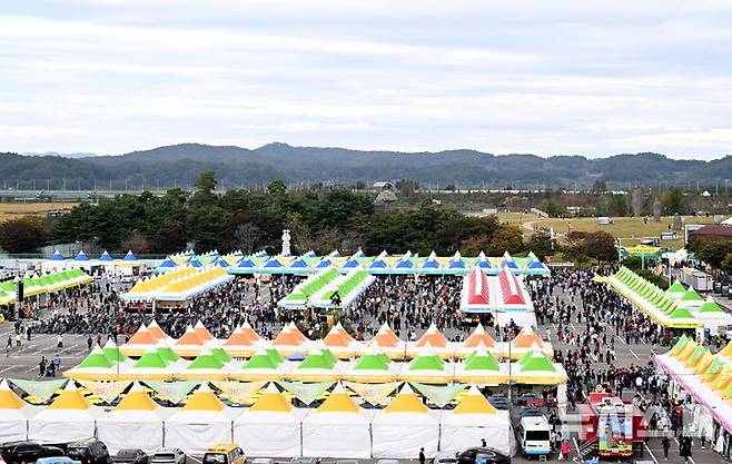 [파주=뉴시스] '제19회 파주개성인삼축제'.(사진=파주시 제공).photo@newsis.com