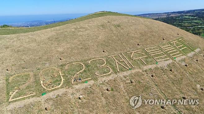 제주들불축제 역사 속으로 사라지나 [연합뉴스 자료사진]