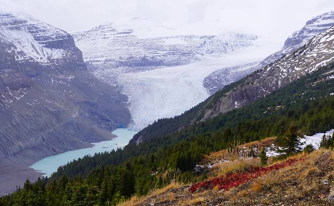 사스카츄완 빙하