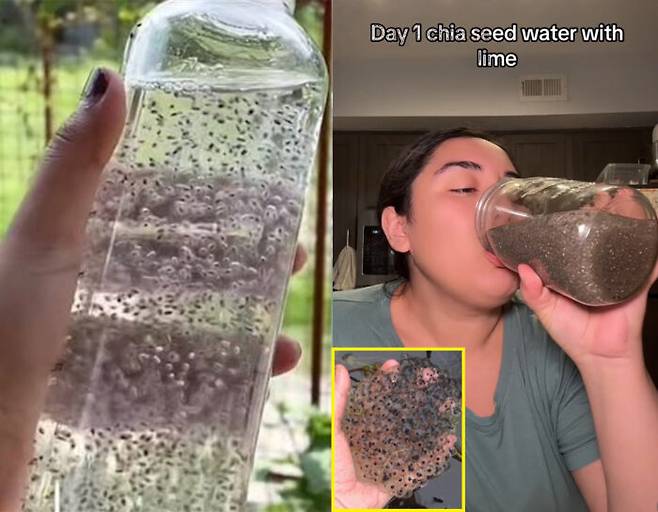 영국 등 해외에서 '올챙이 물(Tadpole Water)' 다이어트가 화제다. 올챙이물은 치아씨드를 20~30분간 물에 넣어 불리면 치아씨드가 개구리알과 비슷한 모양으로 변한다고 하여 붙여진 이름이다. [사진=Tiktok 'belenperez202']
