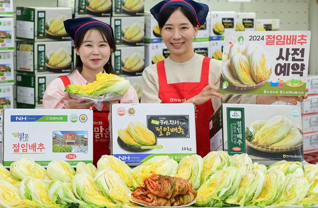 협하나로마트 등 유통업체들이 절임배추 예약 판매에 속속 돌입했다. 농협유통 하나로마트 서울 양재점 관계자들이 절임배추를 들어보이고 있다. 농협유통