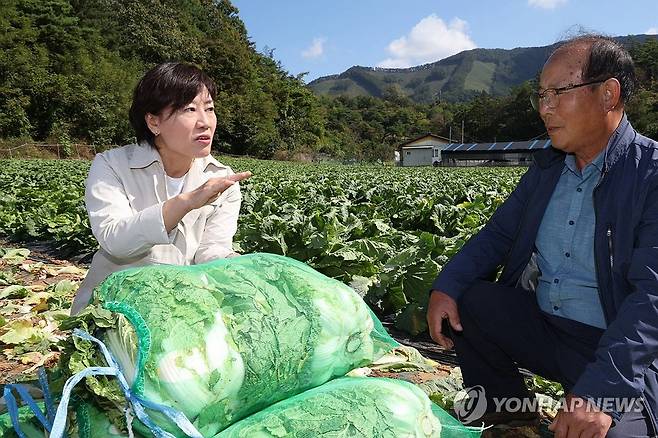 송미령 장관, 배추 주산지서 출하 동향 점검 [농림축산식품부 제공. 재판매 및 DB 금지] photo@yna.co.kr