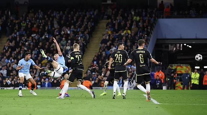 데일리메일 기사캡쳐