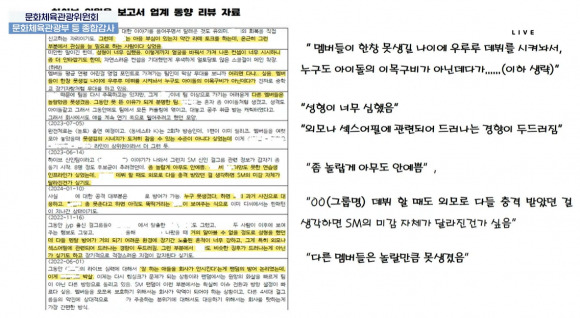 24일 국회 문화체육관광위원회 국정감사./사진=국회방송