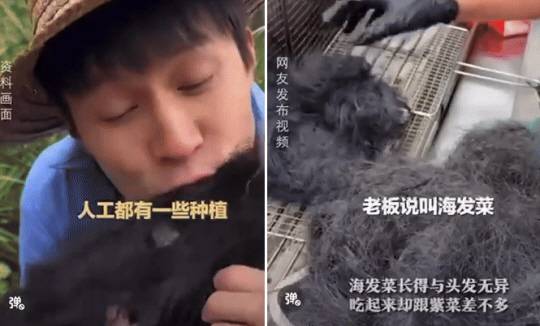 [샤오샹 모닝뉴스]