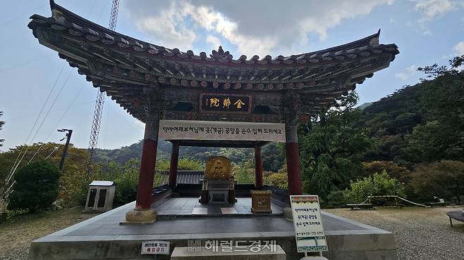 금향원