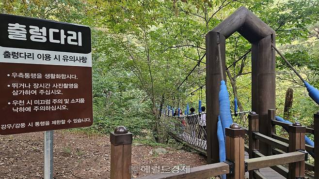 출렁다리