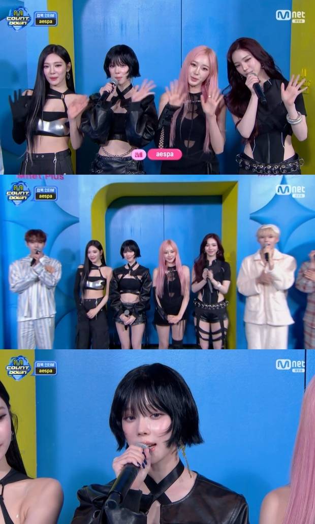 티브이데일리 포토