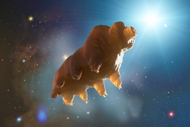 우주에 있는 물곰을 표현한 그림. 물곰(Water Bear) 또는 곰벌레는 완보동물목(Tardigrada)에 속하는 생물들을 이르는 말이다. 크기가 최대 1mm 정도로 매우 작다. 휴면 상태에 들어가면 초고온이나 초저온, 우주의 진공·고방사선 환경에서도 살아남을 수 있어 '최강의 생명체'라는 별명이 있다. 게티이미지뱅크 제공