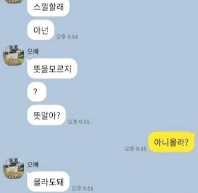 Internet_20240820_180611_5.jpeg 초등학생 딸이 남자아이에게 받은 카톡.jpg