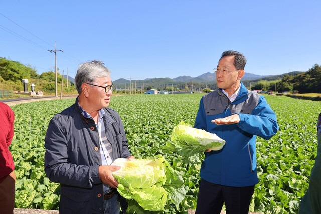 명현관 해남군수(오른쪽)가 지난 24일 해남군 마산면 배추 재배 농가를 찾아 생육 상태를 점검하고 있다. 해남군 제공