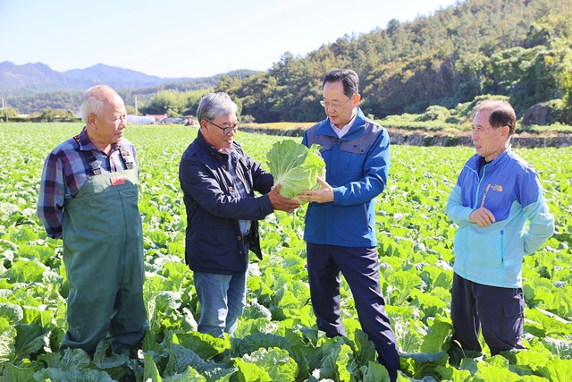 명현관 군수가(오른쪽 두번째) 24일 전남 해남군 마산면 배추 재배 농가를 찾아 생육상황을 점검하고 있다. 해남군청