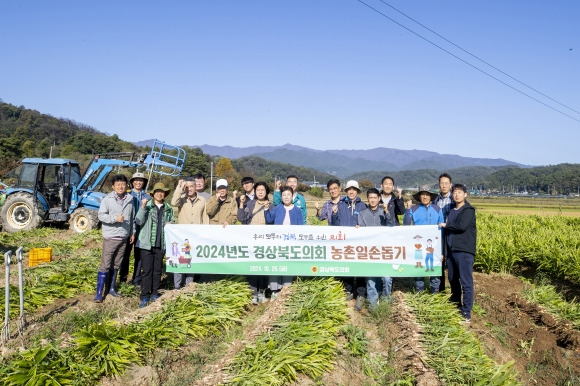 25일 가을철 수확기에 영주지역 농가를 찾아 일손돕기에 나선 경북도의회(의장 박성만). 경북도의회 제공