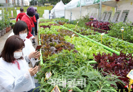 서울도시농업박람회에서 주민 및 도시농부들이 현장을 살펴보고 있다. (사진=이데일리DB)