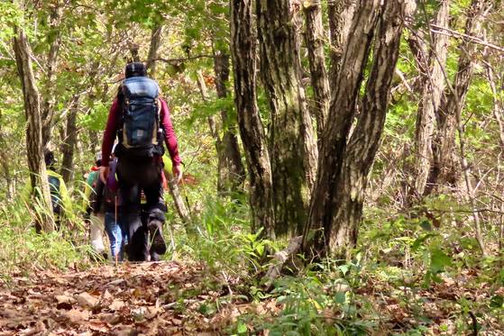 제주 등산객들이 강천산에서 하산하고 있다. 김홍준 기자