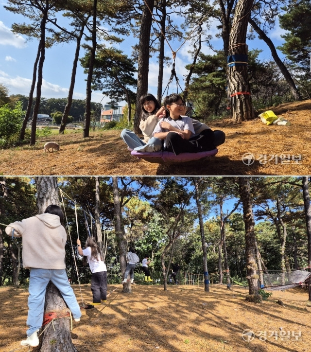 나무 사이를 단단히 묶어 만든 밧줄을 각자의 방법으로 넘으며 아이들은 상상력을 키운다. 사진은 솔잎이 가득 쌓인 바닥과 그네를 타며 미소 짓는 아이들(위), 방과 후 놀이를 즐기는 아이들의 모습. 금유진기자