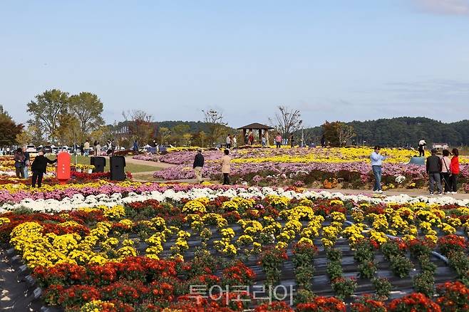 강원도 양양 남대천 가을산책/사진=양양군