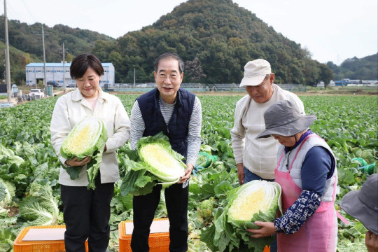 배추 수확하는 한덕수 국무총리와 송미령 농식품부 장관. 국무조정실 제공