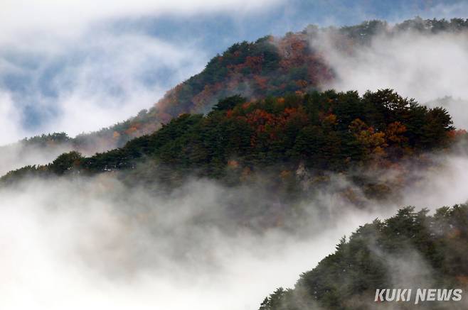 27일 아침 강원 인제군 인제읍 원대리 박달고치 전망대에서 본 운해가 설악산 자락이 어울려 멋진 모습을 드러내고 있다.(인제군 제공)