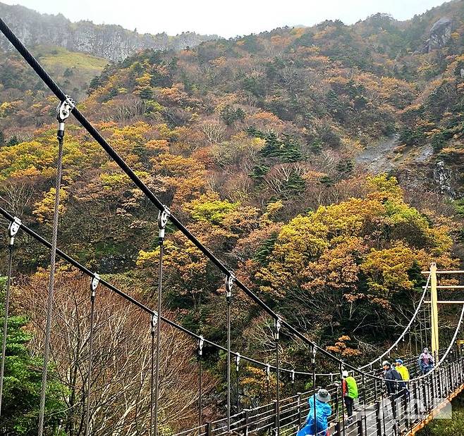 [제주=뉴시스] 임재영 기자 = 27일 오전 한라산 고지대인 해발 1600~1750m 탐라계곡 일대에서는 단풍이 절정의 장관을 뽐냈다. 2024.10.27. ijy788@newsis.com