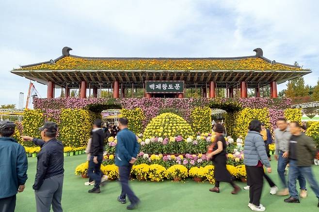 익산 천만송이 국화축제.