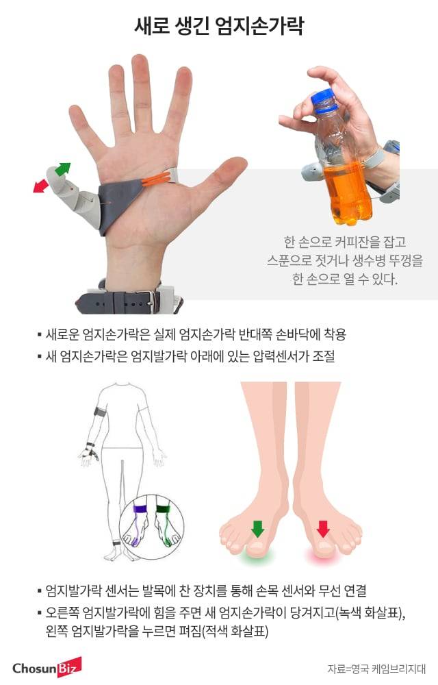 그래픽=정서희