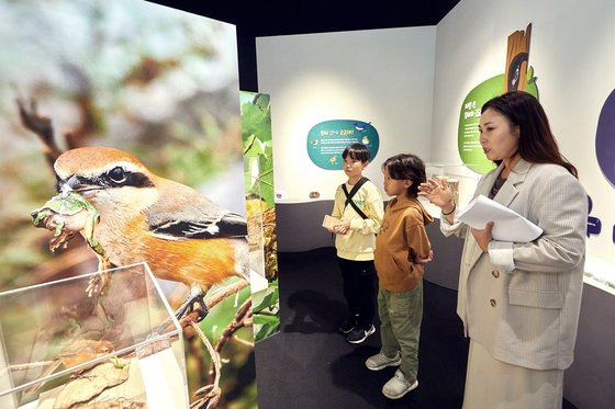 현혜정(맨 오른쪽) 사무관이 소중 학생기자단에게 서식지의 환경에 따라 변화하는 새 둥지의 특성에 관해 설명했다.