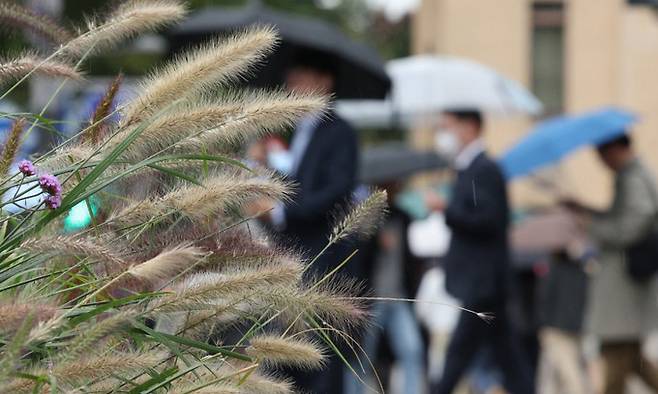 서울 광화문네거리에서 우산을 쓴 시민들이 출근하고 있다. 뉴스1