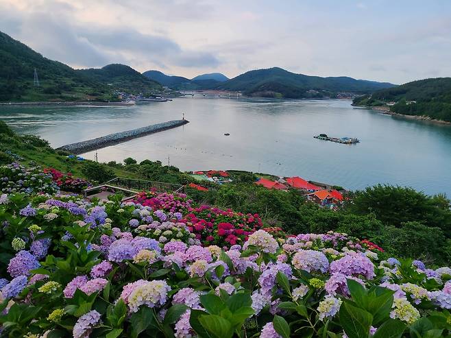 고흥 쑥섬 [전남도 제공. 재판매 및 DB 금지]