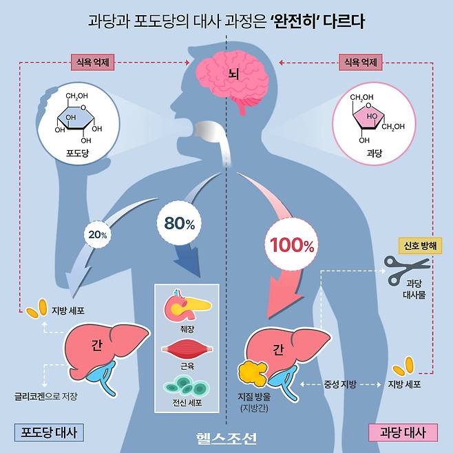 그래픽=김민선