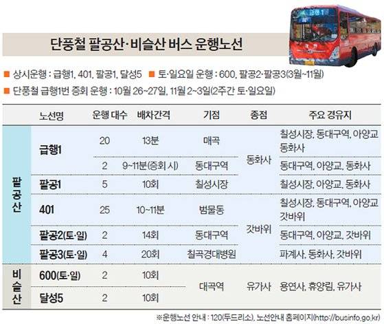 단풍철 팔공산·비슬산 버스 운행노선