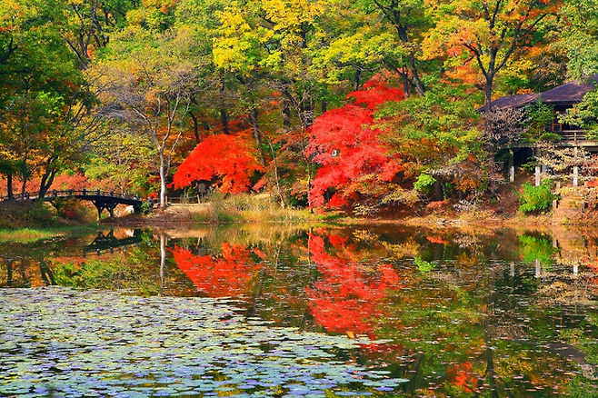 국립수목원 육림호 산책로 / 사진= 국립수목원