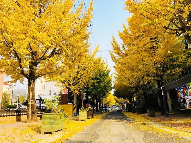 순천 문화의 거리 가을 풍경.