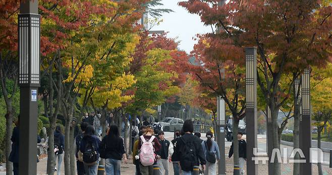 [전주=뉴시스] 김얼 기자 = 화요일인 29일은 전국이 대체로 흐린 가운데 전남 해안과 제주도를 중심으로 비가 내리겠다. 사진은 완연한 가을 날씨가 이어지고 있는 전날 전북 전주시 전북대학교 교정의 가로수가 형형색색 물들어가고 있는 모습. 2024.10.28. pmkeul@newsis.com