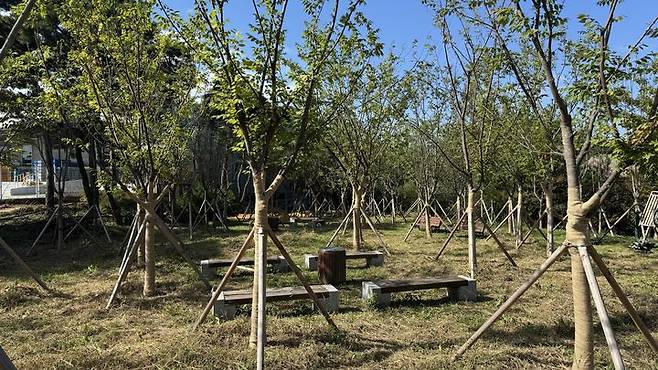 [울산=뉴시스] 울산시는 북구 효문동과 연암동에 위치한 모듈화 일반산업단지 내 입주 기업의 근로 환경 개선과 시민들의 쾌적한 생활환경을 위한 ‘2024년 기후대응 도시숲 조성사업’을 완료했다고 29일 밝혔다. (사진= 울산시 제공) 2024.10.28.photo@newsis.com *재판매 및 DB 금지