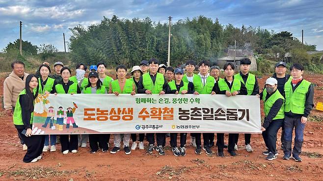 농협광주본부와 광주교통공사가 29일 본격적인 수확기를 맞아 일손 부족으로 어려움을 겪는 전남 무안군 고구마 재배 농가를 찾아 일손돕기로 구슬땀을 흘렸다. (사진=농협광주본부 제공) photo@newsis.com *재판매 및 DB 금지