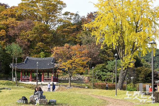 가을까지 기승을 부린 늦더위로 단풍 절정 시기가 늦어지고 있는 가운데 25일 경기 광주시 남한산성을 찾은 시민들이 늦은 단풍을 즐기고 있다. 광주(경기)=박종민 기자