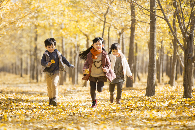 사진은 기사의 특정 내용과 관련 없음. 게티이미지뱅크