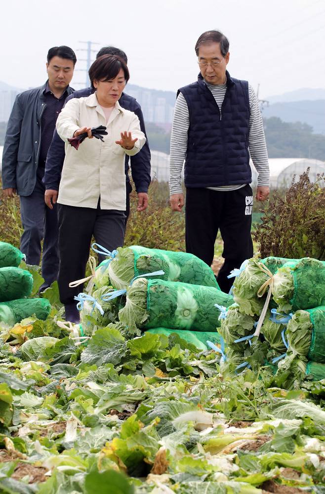 한덕수 국무총리가 지난 27일 충남 아산시 배방읍의 한 배추밭을 찾아 송미령 농림축산식품부 장관과 함께 배추 수확을 마친 뒤 얘기를 듣고 있다. (사진=연합뉴스)