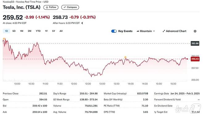 테슬라 일일 주가추이 - 야후 파이낸스 갈무리