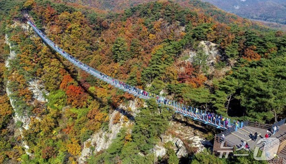 강원 원주시 간현관광지 소금산그랜드밸리 자료사진. (원주시시설관리공단 제공) 2024.10.30/뉴스1