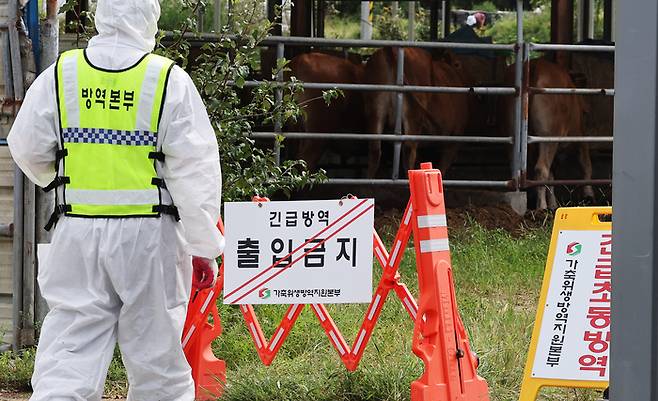 지난 9월 19일 럼피스킨이 발생한 경기도 여주시 한우농가에서 관계자들이 출입을 통제하고 있다. (사진=연합뉴스)