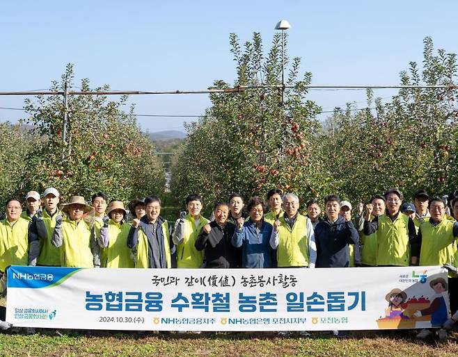 NH농협금융은 30일, 경기도 포천시 신북면 사과농가에서 수확철 농촌 일손돕기를 실시했다. 이석준 NH농협금융지주회장(앞줄 오른쪽에서 네 번째), 김광열 포천농협 조합장(앞줄 오른쪽에서 여섯 번째), 이덕주 NH농협은행 포천시지부장(앞줄 오른쪽에서 세 번째)과 임직원들이 기념촬영을 하고 있다. NH농협금융 제공