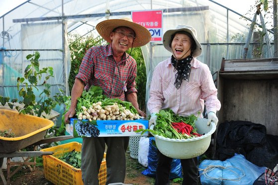 기초연금 도입 10주년 기념 공모전에서 우수상을 받은 작품. 경기도의 한 노부부가 텃밭에서 수확한 채소를 들고 있다. 부부는 "기초연금은 노후에 크나큰 도움이 되는, 없어서는 안 되는 보화"라고 말했다. 국민연금공단 제공