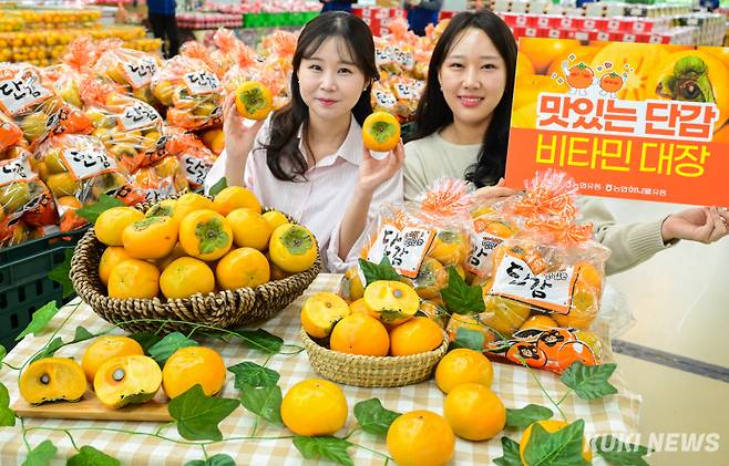 30일 서울 서초구 하나로마트 양재점에서 모델들이 '제철 단감'을 선보이고 있다.